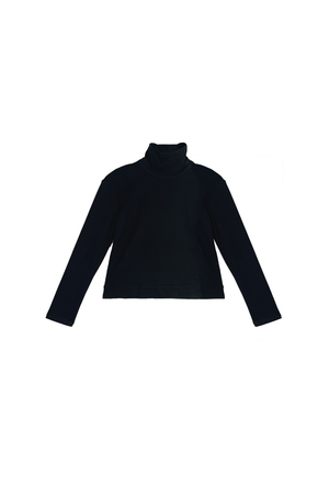 Diane Turtleneck - Black