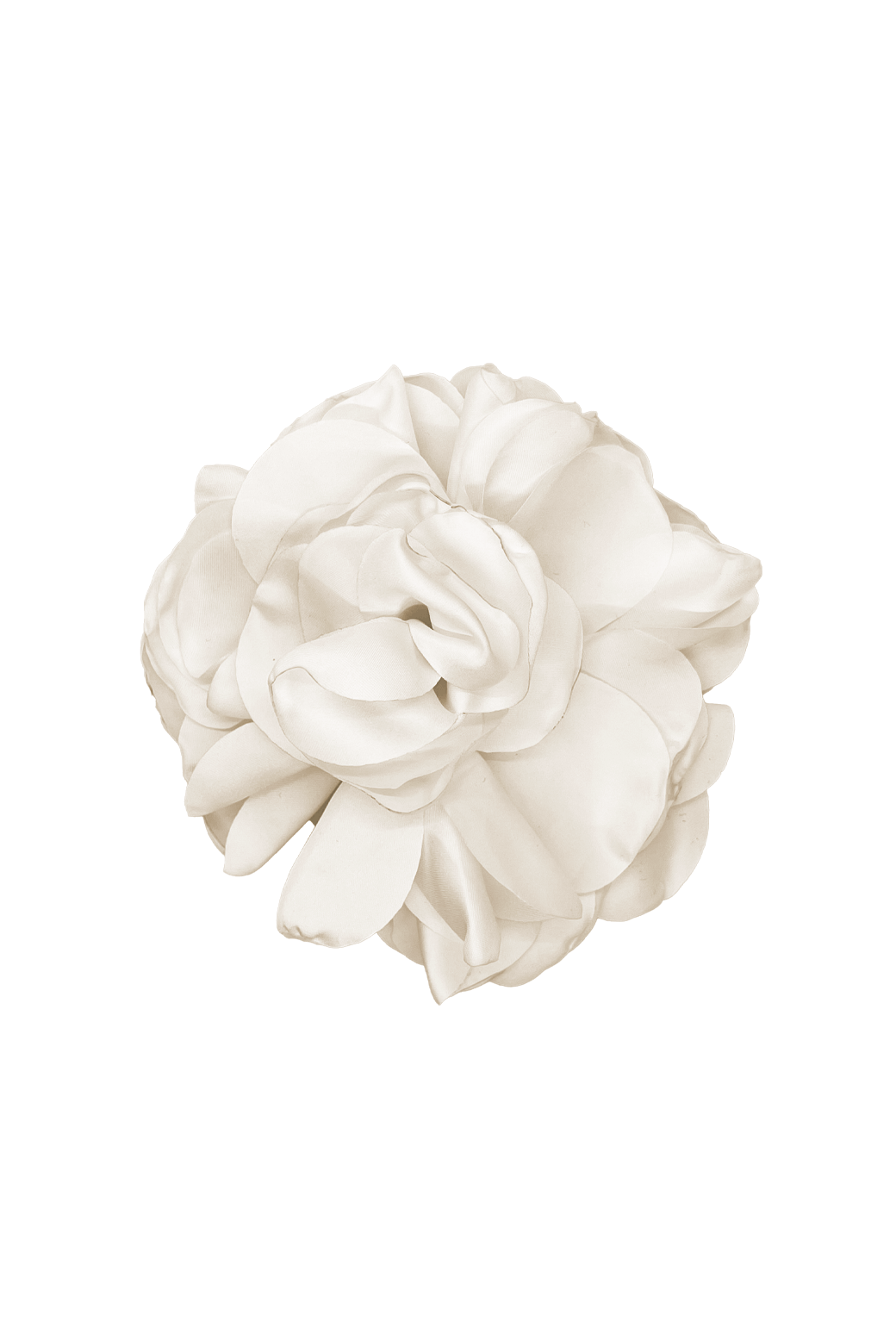 Le Rosette Hair Clip & Brooch - Ivory