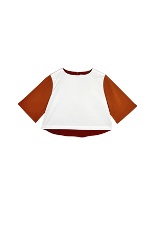 Color Block Box Top - Rust