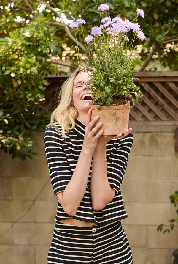 Short Sleeve Mod Top - Black & White Stripe Knit